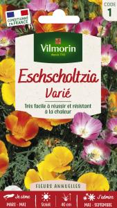Eschscholtzia de Californie Varié